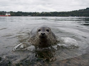 (THE CANADIAN PRESS/Jonathan Hayward)