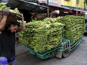 A worker carries a basket full of bananas unloaded from a motorcycle cab, which will be delivered to a nearby wet market, in Manila July 21, 2015. (REUTERS/Romeo Ranoco)