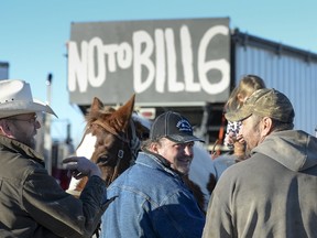 About 50 protesting farmers and ranchers drove tractors, grain trucks and combines to the side of Highway 2 north of Nanton, November 30, 2015. (MIKE STURK/Reuters)