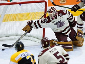 Petes goalie Dylan Wells reacts late on a goal by Kingston Frontenacs'  Spencer Watson during first-period OHL action at the Memorial Centre in Peterborough on Thursday night. (Clifford Skarstedt/Postmedia Network)
