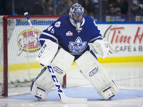 Jonathan Bernier started in goal for the Marlies on Dec. 4 in Rochester. (Mike Bradley)