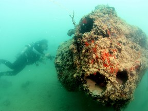 This June 12, 2015 photo provided by the University of Hawaii Marine Option program shows the wreck of a seaplane downed during the Japanese attack on Pearl Harbor. New images of the plane show a coral-encrusted engine and reef fish swimming in and out of a hull. (Jeff Kuwabara, University of Hawaii Marine Option Program via AP)