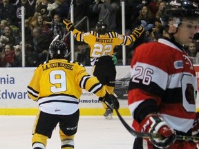 Sarnia Sting forward Matt Mistele celebrates scoring the Teddy Bear Toss goal during the Ontario Hockey League game against the Ottawa 67's at the Sarnia Sports and Entertainment Centre on Sunday Dec. 6, 2015 in Sarnia, Ont. Mistele's power-play goal 10:10 into the first period sent the stuffed animals flying over the glass. (Terry Bridge, The Observer)