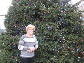 Bev Doll stands in front of the big tree in her yard that she’s been decorating for 10 years. Every year she receives countless notes in the mailbox from the community thanking her for doing what she does. (Laura Broadley/Goderich Signal Star)