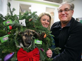 Lianne Tregobov (l) and D'Arcy Johnston, owner of D'Arcy's ARC, hold a dog in a wreath in Winnipeg, Man. Monday Dec. 7, 2015. The pair are holding a wresth making fundraiser for the animal shelter this weekend.