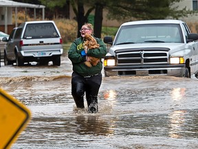 Cherise Giberson carries one of her family's pets, they have three dogs, three puppies and a hedgehog, that was rescued from their flooded home in the Swedetown Village mobile home park in Clatskanie, Ore., on Wednesday, Dec. 9, 2015. The water was freezing and the current swift when she was thigh-deep in the rain-swollen river that overflowed its banks and inundated the homes. (Bill Wagner/The Daily News via AP)