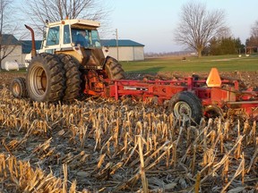 More farmers in Ontario are practising no-till agriculture, leaving their harvested fields alone for the winter months. Part of it is to save on time, fuel, and wear on machinery; part of it is to prevent wind erosion. But not ploughing the ground can also encourage weed growth, notes gardening expert John DeGroot, who says there are benefits associated with both approaches. Yet he suggests gardeners might want to leave their cultivator in their shed some years, and take a page from the no-till advocates. This photograph is of a farmer in Lambton County who was plowing the field following the recent corn harvest. (HANDOUT/ SARNIA OBSERVER/ POSTMEDIA NETWORK)