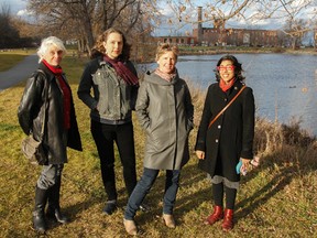 Mary Farrar, left, from the Friends of Kingston's Inner Harbour, and Justine Scala, Laura Murray and Sayyida Jaffer, from the Wellington X group, are seen in Doug Fluhrer Park on Friday. (Julia McKay/The Whig-Standard)