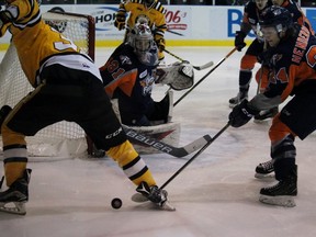Sarnia Sting forward Nikita Korostelev tries to find the puck in his feet with Flint Firebirds goalie Brent Moran and defenceman Mathieu Henderson keeping an eye on the disc during the Ontario Hockey League game at the Sarnia Sports and Entertainment Centre on Sunday Dec. 13, 2015 in Sarnia, Ont. Sarnia and Flint faced off for the fifth time this season. Terry Bridge/Sarnia Observer/Postmedia Network
