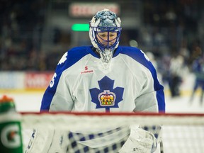 Goaltender Jonathan Bernier peers at the net during a break in the action as his Toronto Marlies faced the Utica Comets in an American Hockey League game at Ricoh Coliseum on Dec. 13, 2015. After recording three shutouts, Bernier allowed five goals on 26 shots in the Marlies’ overtime loss.(ERNEST DOROSZUK/Toronto Sun)