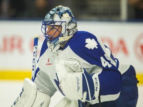 Toronto Marlies goalie Jonathan Bernier during a game against the Utica Comets at the Ricoh Coliseum in Toronto, Ont.  on Sunday December 13, 2015. (Ernest Doroszuk/Toronto Sun/Postmedia Network)