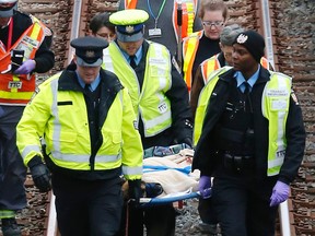 Katie, a German shepherd, is carried out from a TTC tunnel south of Davisville station Tuesday, Dec. 15, 2015. The dog later had to be euthanized due to its injuries. (Michael Peake/Toronto Sun)