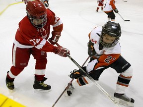 In a 2008 Minor Pee Wee AAA game at Victoria Village Arena, Red Wing Stephen Mariani and Flyer Andrew Tavares battle for the puck. (Dave Abel/Toronto Sun)