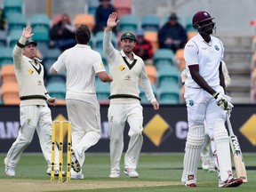 Australia's players, from left, David Warner, James Pattinson and Shaun Marsh celebrate the wicket of West Indies captain Jason Holder, right, during their cricket test match in Hobart, Australia on Dec. 12. (Associated Press)