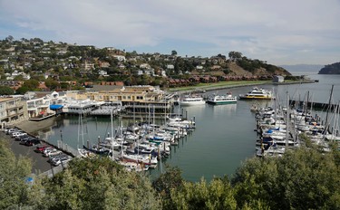 In this photo taken Thursday, Nov. 5, 2015, a couple of ferries at top right pull into Tiburon, Calif. Whether you�re on a business trip or any other kind of visit to San Francisco, with a few hours to spare, you can take the ferry across the bay to Tiburon, have a meal, poke through the galleries and shops of Main Street, and sit back and enjoy the view. (AP Photo/Eric Risberg)