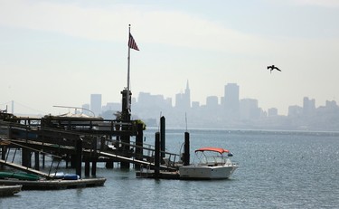 In this photo taken Thursday, Nov. 5, 2015, the San Francisco skyline serves as a backdrop as a pelican dives into the water by docks on Corinthian Island near Tiburon, Calif. Whether you�re on a business trip or any other kind of visit to San Francisco, with a few hours to spare, you can take the ferry across the bay to Tiburon, have a meal, poke through the galleries and shops of Main Street, and sit back and enjoy the view. (AP Photo/Eric Risberg)