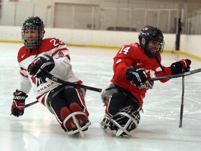 Steve Arsenault has his sights set on the World Sledge Hockey Challenge. - Postmedia Network