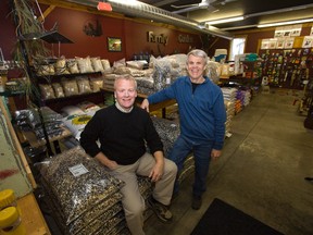 Charlie Frank (left) and brother Dave own Hyde Park Feed and Country Store, which celebrates its 60th birthday this year. (DEREK RUTTAN, The London Free Press)