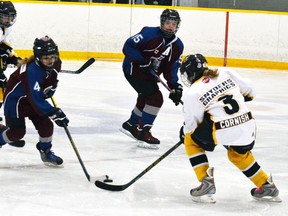 Taya Cornish (3) takes on three Lambeth players on her own during a Mitchell pee wee girls hockey game at the Mitchell Arena last Thursday, Dec. 17. The Meteors won a close one, 4-3. GALEN SIMMONS/MITCHELL ADVOCATE