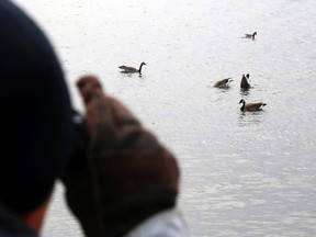 LUKE HENDRY/THE INTELLIGENCER
Steve Chan watches birds through binoculars in Belleville. With no ice on Lake Ontario's Bay of Quinte, there are still plenty of geese, ducks and swans to be seen for Ontario Nature's upcoming Christmas bird count.