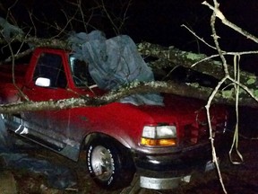 A fallen tree rests atop a pickup truck in Holly Springs, Miss., after a storm struck the town on Wednesday, Dec. 23, 2015. A storm system killed several people as it swept across the South, and officials are searching for missing people into the night. (AP Photo/Phillip Lucas)