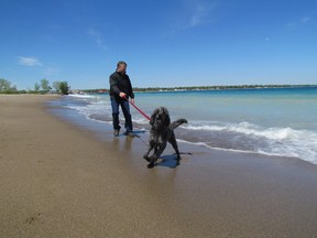 Jon Taylor walks his dog Tessa along Lake Huron in May. Sarnia's Canatara Park beach was again designated a Blue Flag Beach by the organization Environmental Defence. File Photo/Sarnia Observer