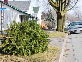 The annual Kingston Canadians Christmas Tree pickup is on again this year on Saturday, Jan. 2 and Saturday, Jan. 9. (Postmedia Network)