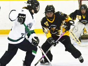 Rylie Dietz (86) of the Mitchell U16 ringette team keeps an eye on London’s Katelyn Practico (22) during WRRL action Dec. 20. The Stingers doubled the visiting Lynx, 8-4. GALEN SIMMONS/MITCHELL ADVOCATE