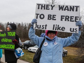 Protesters converged on the  Bowmanville Zoo on Monday. (DAVE THOMAS, Toronto Sun)