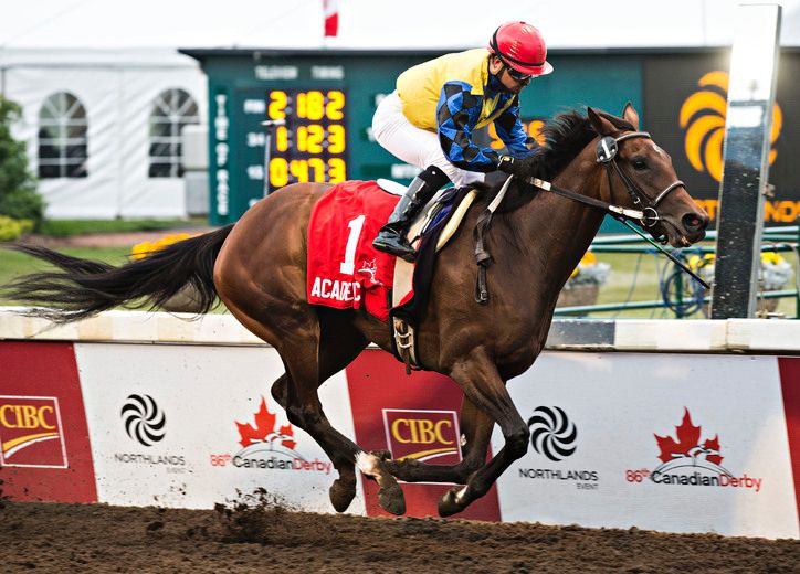 Industry insiders hope horse racing stays at Edmonton Northlands