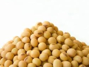 Soybeans