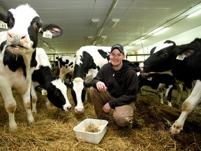 Strathroy area farmer Andrew Campbell at his barn with his Holstein heifers west of London, Ont. on Monday December 28, 2015. (MIKE HENSEN, The London Free Press)