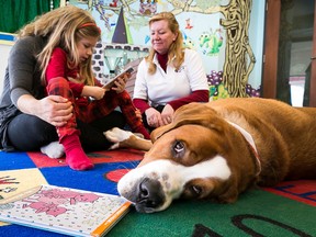 Maya Bianchi, 5, reads to therapy dog Charlie during a Paws for Reading session at the Belleville Public Library on Thursday Feb. 26, 2015. The program is designed to give new or reluctant readers a comfortable environment.