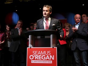 Seamus O'Regan, flanked by supporters, makes his acceptance speech at the Delta Hotel in downton St. John's following his win in the district of St. John's South on Oct. 19, 2015. (THE CANADIAN PRESS)