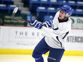 Sudbury Wolves forward David Levin, shown in in this file photo. Gino Donato/Sudbury Star/Postmedia Network