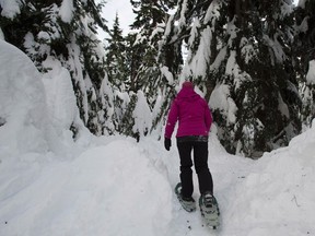 A snowshoer makes their way through one of the snow-laden trails while snowshoeing on Mount Seymour, in North Vancouver, on Sunday, Jan. 3, 2016. THE CANADIAN PRESS/Jonathan Hayward