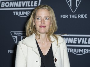 Gillian Anderson (WENN.COM)