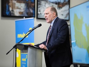 Dean Dacko, Chief Commercial Officer of NewLeaf Travel speaks at a press conference in the arrivals area of the John C. Munro Hamilton International Airport, on Wednesday, Jan. 6, 2016. Officially launched today, the new low-cost carrier is scheduled to provide initial departures starting February 12, 2016, for non-stop flights to and from Hamilton, Halifax, Winnipeg, Regina, Saskatoon, Kelowna and Abbotsford. THE CANADIAN PRESS/Peter Power