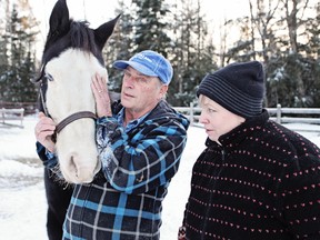 Barry and Donna Smith own the Land O' Lakes Rescue Petting Farm near Cloyne, Ont. The farm is struggling once more to make it through the winter, especially since Barry was brutally attacked by his pet Holstein bull in early 2015 and had to quit working during his rehabilitation. (Meghan Balogh/Postmedia Network)