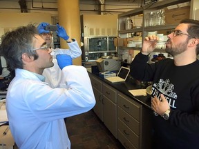 Dr. Andrew MacIntosh and Chris Reynolds, co-owner of a Halifax bar and an expert on craft brewing, sample 100-year-old beer. (THE CANADIAN PRESS/HO-Jon Crouse)