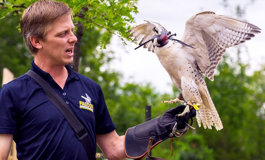 Falconer featured in series Belleville Intelligencer