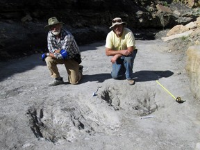 This undated photo provided in January 2016 by Dr. Martin Lockley shows him, right, and co-author Ken Cart beside two large Cretaceous-age scrapes from western Colorado that are the first physical-reported evidence that large theropod dinosaurs engaged in courtship behavior. (Courtesy of Martin Lockley via AP)