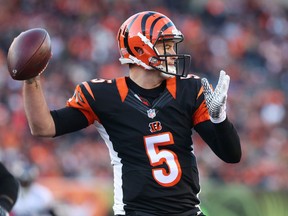 Cincinnati Bengals quarterback AJ McCarron (5) prepares to throw the ball in the second half against the Baltimore Ravens at Paul Brown Stadium. Aaron Doster-USA TODAY Sports
