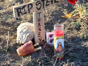 This makeshift memorial to a wild turkey that had gained notoriety for its crazy behaviour appeared just hours after the bird was found dead on the side of Prince Albert Road near Pioneer Line on Thursday, January 7, 2016 where it had been roaming around for several weeks. Chatham, Ont.  (Ellwood Shreve/Chatham Daily News/Postmedia Network)