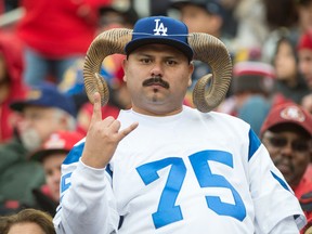 A fan poses during NFL action between the San Francisco 49ers and St. Louis Rams at Levi's Stadium in Santa Clara, Calif., on Sunday, Jan. 3, 2016. (Kyle Terada/USA TODAY Sports)
