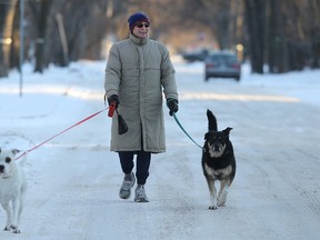 John Arnett walks dogs Maverick (left) and Roxy in Crescentwood earlier this winter. The city is conducting a public survey on a planned downtown dog park. (Kevin King/Winnipeg Sun file photo)