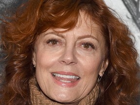 NEW YORK - Susan Sarandon attends the "Ellis" New York Premiere on October 23, 2015 in New York City.  (Jamie McCarthy/Getty Images/AFP)