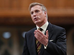 Maxime Bernier speaks during Question Period in the House of Commons on Parliament Hill in this March 26, 2013 file photo. (REUTERS/Chris Wattie)