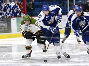 Daniil Vertiy, left, of the North Bay Battalion, and Brady Pataki, of the Sudbury Wolves, battle for possession of the puck during OHL action at the Sudbury Community Arena in Sudbury, Ont. on Friday January 8, 2016. John Lappa/Sudbury Star/Postmedia Network