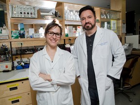 Post doctorate researcher Dr. Justine Renard and associate professor Dr. Steven Laviolette of Western Univerity's Anatomy and Cell Biology department have studied the effects of TCH on the brains of rats in London, Ont. on Monday January 11, 2016. (DEREK RUTTAN, The London Free Press)